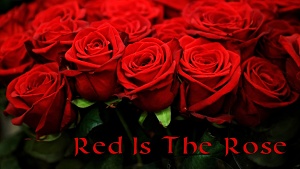 RED IS THE ROSE