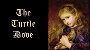 THE TURTLE DOVE